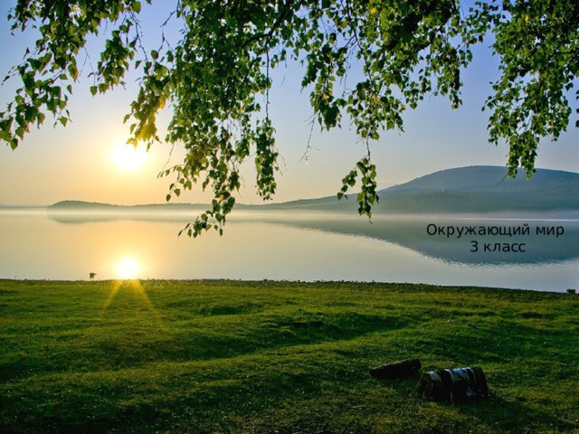 Окружающий мир 3 класс