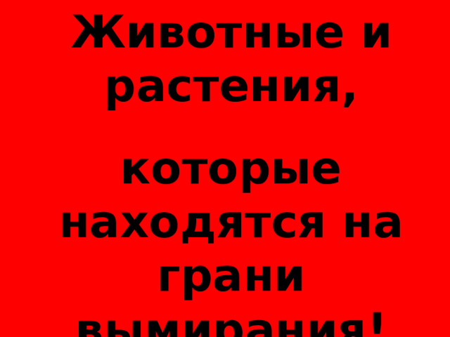 Животные и растения, которые находятся на грани вымирания!