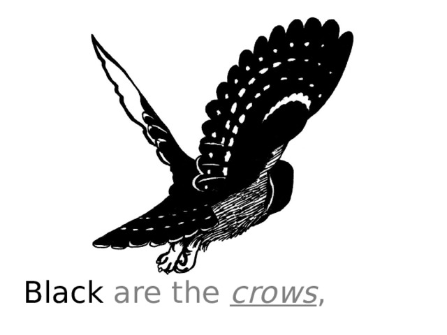 Black are the crows , 