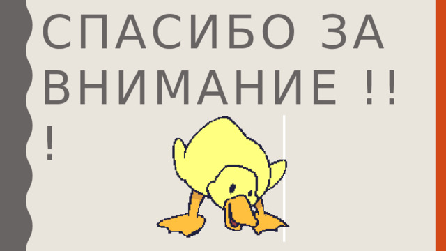 Спасибо за внимание !!! 