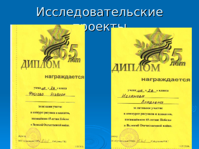 Исследовательские проекты 