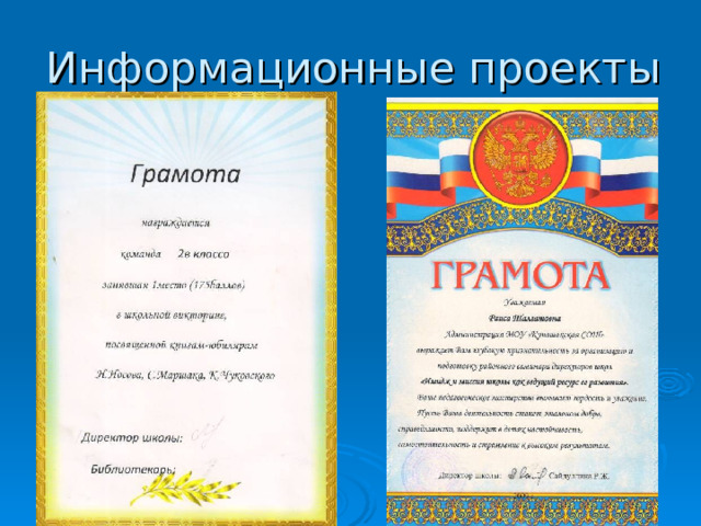 Информационные проекты 