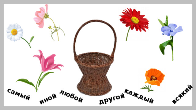 самый иной любой другой каждый всякий 