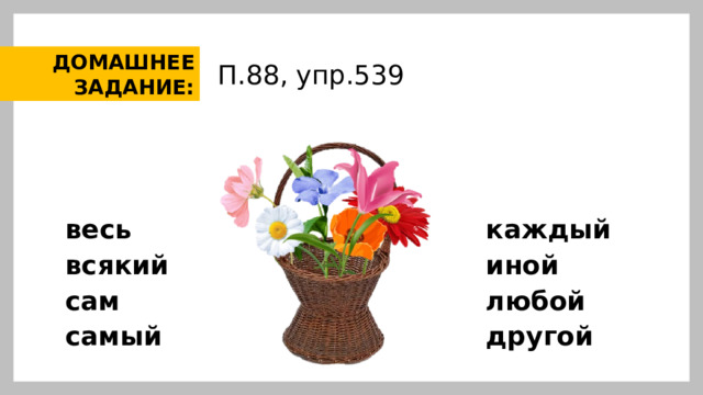 ДОМАШНЕЕ ЗАДАНИЕ: П.88, упр.539 весь каждый всякий иной сам любой самый другой 