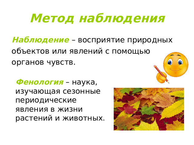 Метод наблюдения Наблюдение – восприятие природных объектов или явлений с помощью органов чувств. Фенология – наука, изучающая сезонные периодические явления в жизни растений и животных. 