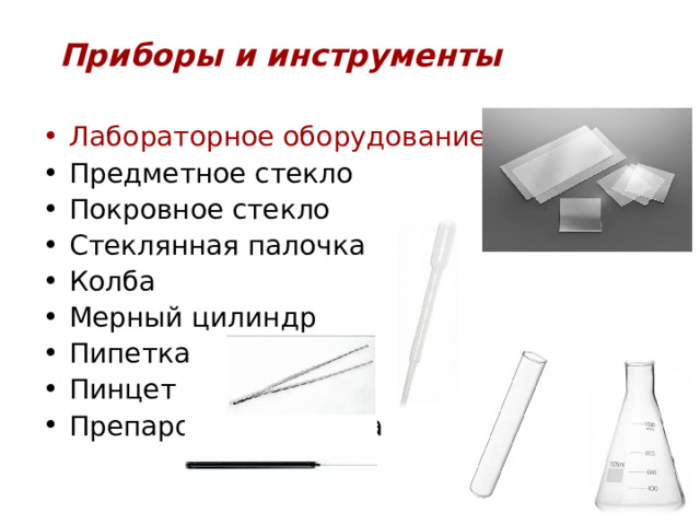 Приборы и инструменты Лабораторное оборудование: Предметное стекло Покровное стекло Стеклянная палочка Колба Мерный цилиндр Пипетка Пинцет Препаровальная игла 