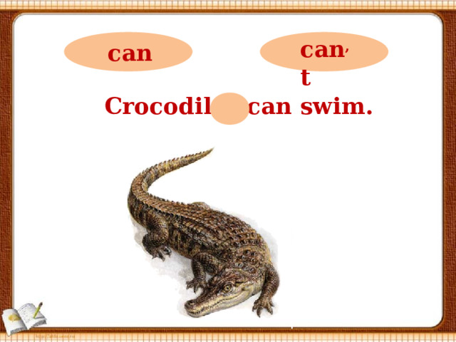 can ,  t can Crocodiles can swim.  