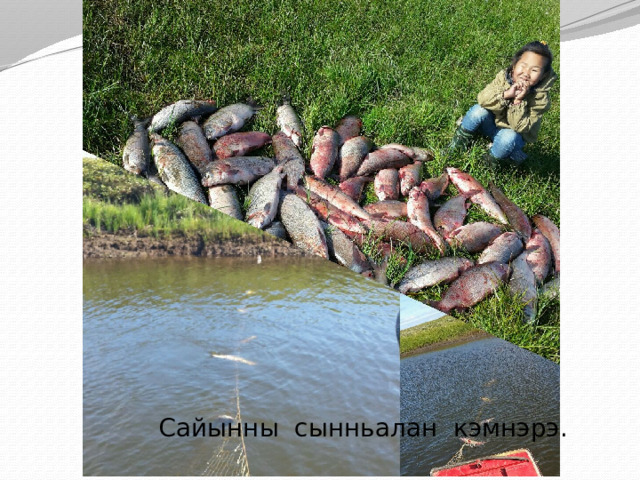  Сайынны сынньалан кэмнэрэ. 
