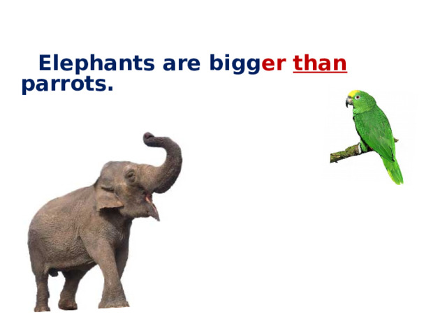  Elephants are bigg er  than parrots.  
