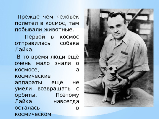 Прежде чем человек полетел в космос, там побывали животные.  Первой в космос отправилась собака Лайка.  В то время люди ещё очень мало знали о космосе, а космические аппараты ещё не умели возвращать с орбиты. Поэтому Лайка навсегда осталась в космическом пространстве.