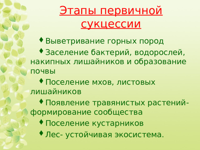 Этапы первичной сукцессии Выветривание горных пород Заселение бактерий, водорослей, накипных лишайников и образование почвы Поселение мхов, листовых лишайников Появление травянистых растений- формирование сообщества Поселение кустарников Лес- устойчивая экосистема.  