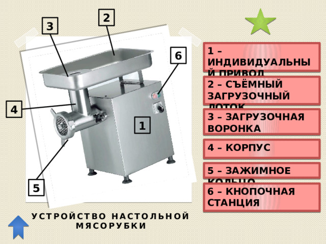 2 3 1 – ИНДИВИДУАЛЬНЫЙ ПРИВОД 6 2 – СЪЁМНЫЙ ЗАГРУЗОЧНЫЙ ЛОТОК 4 3 – ЗАГРУЗОЧНАЯ ВОРОНКА 1 4 – КОРПУС 5 – ЗАЖИМНОЕ КОЛЬЦО 5 6 – КНОПОЧНАЯ СТАНЦИЯ УСТРОЙСТВО НАСТОЛЬНОЙ МЯСОРУБКИ 