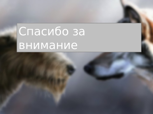 Спасибо за внимание 