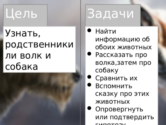 Цель : Задачи : Узнать, родственники ли волк и собака Найти информацию об обоих животных Рассказать про волка,затем про собаку Сравнить их Вспомнить сказку про этих животных Опровергнуть или подтвердить гипотезу 