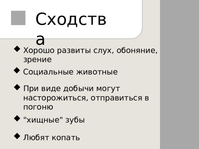 Сходства Хорошо развиты слух, обоняние, зрение Социальные животные При виде добычи могут насторожиться, отправиться в погоню 