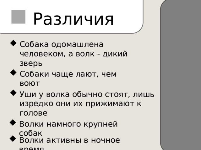 Различия Собака одомашлена человеком, а волк - дикий зверь Собаки чаще лают, чем воют Уши у волка обычно стоят, лишь изредко они их прижимают к голове Волки намного крупней собак Волки активны в ночное время 