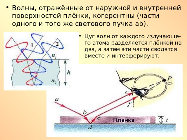 Волны, отражённые от наружной и внутренней поверхностей плёнки, когерентны (части одного и того же светового пучка ab ). Цуг волн от каждого излучающе-го атома разделяется плёнкой на два, а затем эти части сводятся вместе и интерферируют. 