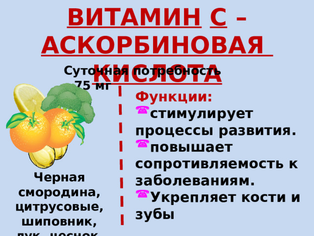 ВИТАМИН  С – АСКОРБИНОВАЯ КИСЛОТА Суточная потребность – 75 мг Функции: стимулирует процессы развития. повышает сопротивляемость к заболеваниям. Укрепляет кости и зубы Черная смородина, цитрусовые, шиповник, лук, чеснок, капуста 