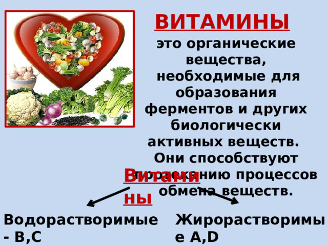ВИТАМИНЫ это органические вещества,  необходимые для образования ферментов и других биологически активных веществ. Они способствуют протеканию процессов обмена веществ. Витамины Водорастворимые - В,С Жирорастворимые А,D 