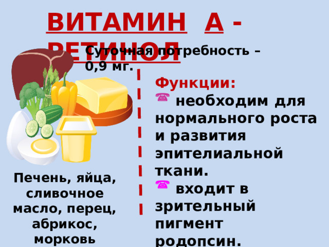 ВИТАМИН  А - РЕТИНОЛ Суточная потребность – 0,9 мг. Функции:  необходим для нормального роста и развития эпителиальной ткани.  входит в зрительный пигмент родопсин. Печень, яйца, сливочное масло, перец, абрикос, морковь 