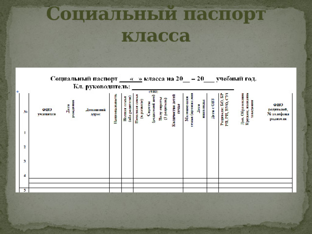 Социальный паспорт класса 