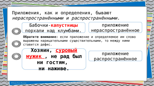 Приложения, как и определения, бывают нераспространёнными и распространёнными. приложение нераспространённое Бабочки- капустницы порхали над клумбами. Обратите внимание: если приложение и определяемое им слово выражены нарицательными существительными, то между ними ставится дефис. Хозяин, суровый мужик , не рад был ни гостям, ни наживе. приложение распространённое 