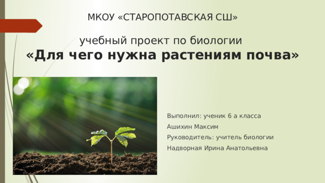 МКОУ «СТАРОПОТАВСКАЯ СШ»   учебный проект по биологии  «Для чего нужна растениям почва» Выполнил: ученик 6 а класса Ашихин Максим Руководитель: учитель биологии Надворная Ирина Анатольевна 