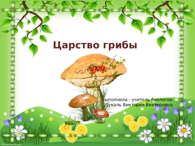 Царство грибы Выполнила : учитель биологии Шукаль Виктория Викторовна 