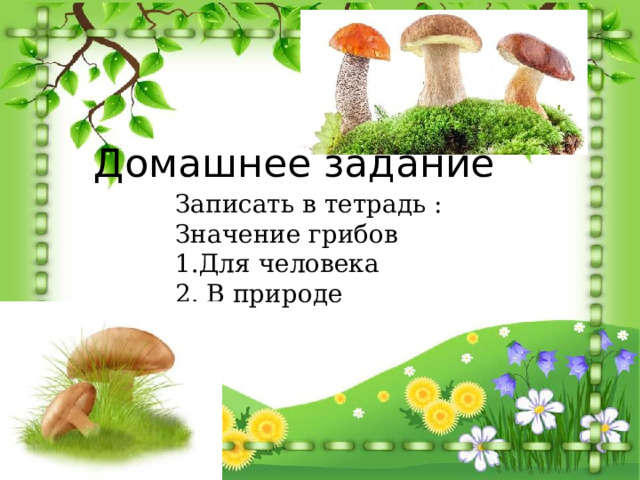 Домашнее задание Записать в тетрадь : Значение грибов  1.Для человека 2. В природе 