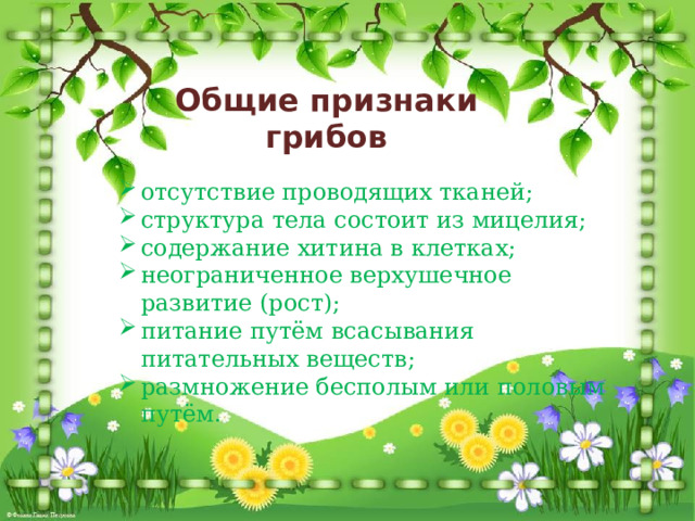 Общие признаки  грибов отсутствие проводящих тканей; структура тела состоит из мицелия; содержание хитина в клетках; неограниченное верхушечное развитие (рост); питание путём всасывания питательных веществ; размножение бесполым или половым путём.  