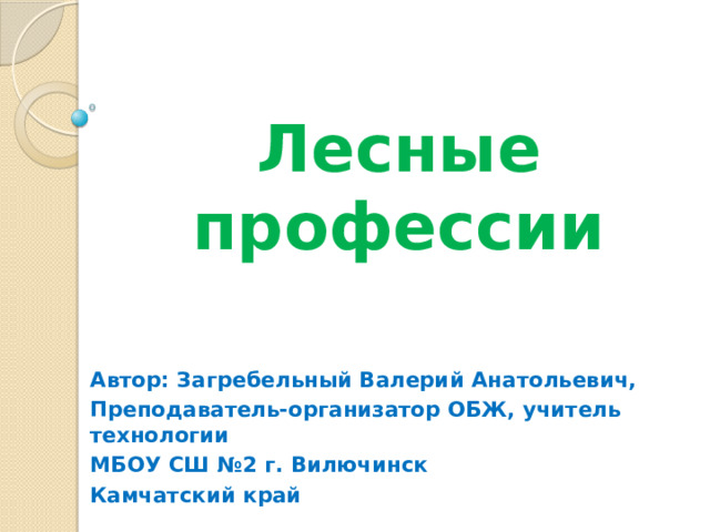 Лесные профессии Автор: Загребельный Валерий Анатольевич, Преподаватель-организатор ОБЖ, учитель технологии МБОУ СШ №2 г. Вилючинск Камчатский край 