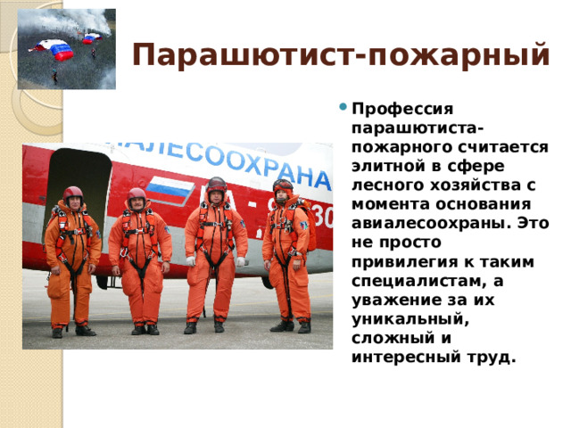 Парашютист-пожарный Профессия парашютиста-пожарного считается элитной в сфере лесного хозяйства с момента основания авиалесоохраны. Это не просто привилегия к таким специалистам, а уважение за их уникальный, сложный и интересный труд. 