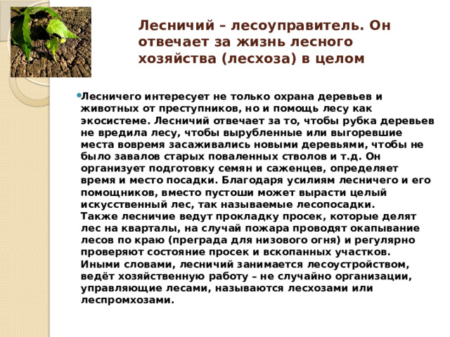 Лесничий – лесоуправитель. Он отвечает за жизнь лесного хозяйства (лесхоза) в целом    Лесничего интересует не только охрана деревьев и животных от преступников, но и помощь лесу как экосистеме. Лесничий отвечает за то, чтобы рубка деревьев не вредила лесу, чтобы вырубленные или выгоревшие места вовремя засаживались новыми деревьями, чтобы не было завалов старых поваленных стволов и т.д. Он организует подготовку семян и саженцев, определяет время и место посадки. Благодаря усилиям лесничего и его помощников, вместо пустоши может вырасти целый искусственный лес, так называемые лесопосадки.  Также лесничие ведут прокладку просек, которые делят лес на кварталы, на случай пожара проводят окапывание лесов по краю (преграда для низового огня) и регулярно проверяют состояние просек и вскопанных участков.  Иными словами, лесничий занимается лесоустройством, ведёт хозяйственную работу – не случайно организации, управляющие лесами, называются лесхозами или леспромхозами.    