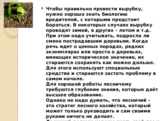 Чтобы правильно провести вырубку, нужно хорошо знать биологию вредителей, с которыми предстоит бороться. В некоторых случаях вырубку проводят зимой, в других – летом и т.д.  При этом надо учитывать, подросла ли смена пострадавшим деревьям. Когда речь идет о ценных породах, редких экземплярах или просто о деревьях, имеющих историческое значение, их стараются сохранять как можно дольше. Для этого используют специальные средства и стараются застать проблему в самом начале.  Для хорошей работы лесничему требуются глубокие знания, которые даёт высшее образование.  Однако не надо думать, что лесничий – это стратег лесного хозяйства, который может только руководить и сам своими руками ничего не делает.  Лесничий должен хорошо знать свой лес и поэтому много по нему ходит. Он участвует в процессе вырубки, посадки, лечения деревьев. Ему случается работать не только с картой и карандашом, но также бензопилой и лопатой.   