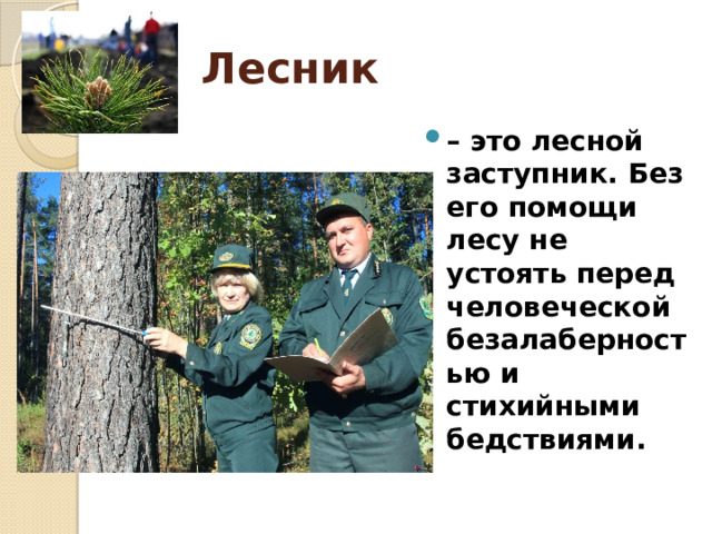 Лесник – это лесной заступник. Без его помощи лесу не устоять перед человеческой безалаберностью и стихийными бедствиями. 