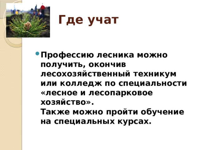 Где учат Профессию лесника можно получить, окончив лесохозяйственный техникум или колледж по специальности «лесное и лесопарковое хозяйство».  Также можно пройти обучение на специальных курсах.    