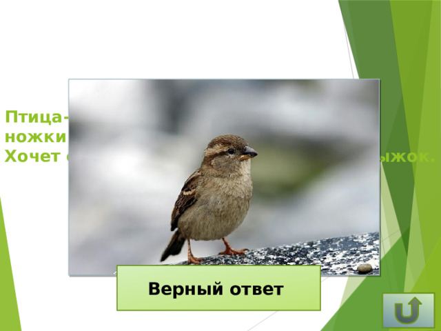 Птица-невеличка  ножки имеет, а ходить не умеет.  Хочет сделать шажок – получается прыжок. Верный ответ Воробей