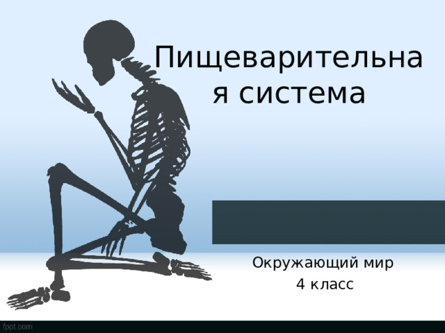 Пищеварительная система Окружающий мир 4 класс 