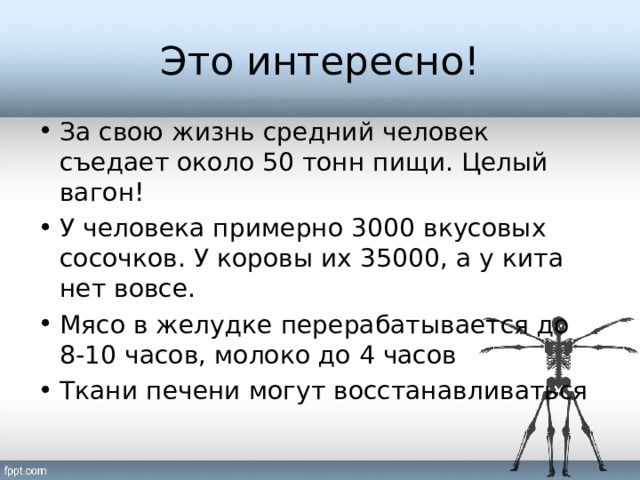 Это интересно! За свою жизнь средний человек съедает около 50 тонн пищи. Целый вагон! У человека примерно 3000 вкусовых сосочков. У коровы их 35000, а у кита нет вовсе. Мясо в желудке перерабатывается до 8-10 часов, молоко до 4 часов Ткани печени могут восстанавливаться 