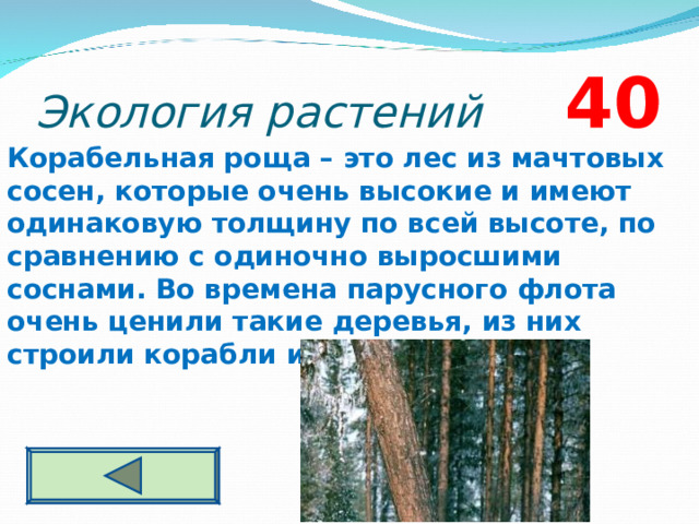 Экология растений 4 0 Корабельная роща – это лес из мачтовых сосен, которые очень высокие и имеют одинаковую толщину по всей высоте, по сравнению с одиночно выросшими соснами. Во времена парусного флота очень ценили такие деревья, из них строили корабли и делали мачты.  