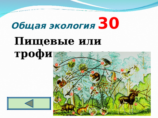  Общая экология  3 0  Пищевые или трофические сети  