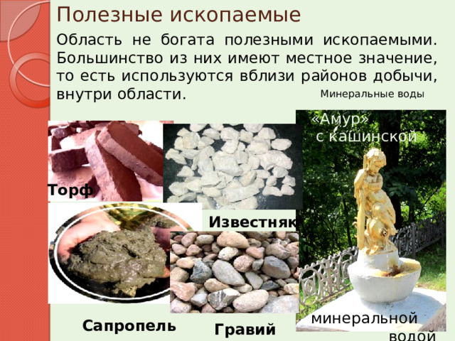 Полезные ископаемые Область не богата полезными ископаемыми. Большинство из них имеют местное значение, то есть используются вблизи районов добычи, внутри области. Минеральные воды «Амур»  с кашинской  минеральной  водой Торф Известняк Сапропель Гравий 