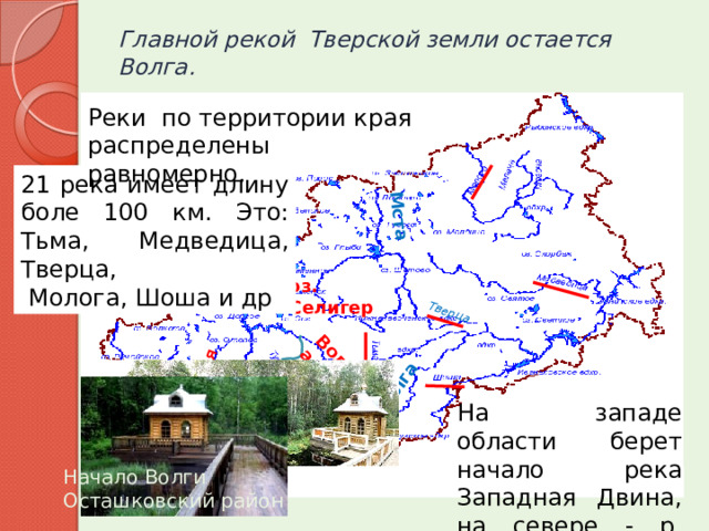 Западная Двина Волга Волга Тверца Мста Главной рекой Тверской земли остается Волга.   Реки по территории края распределены равномерно. 21 река имеет длину боле 100 км. Это: Тьма, Медведица, Тверца,  Молога, Шоша и др оз. Селигер На западе области берет начало река Западная Двина, на севере - р. Мста. Начало Волги Осташковский район 