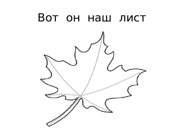 Вот он наш лист 