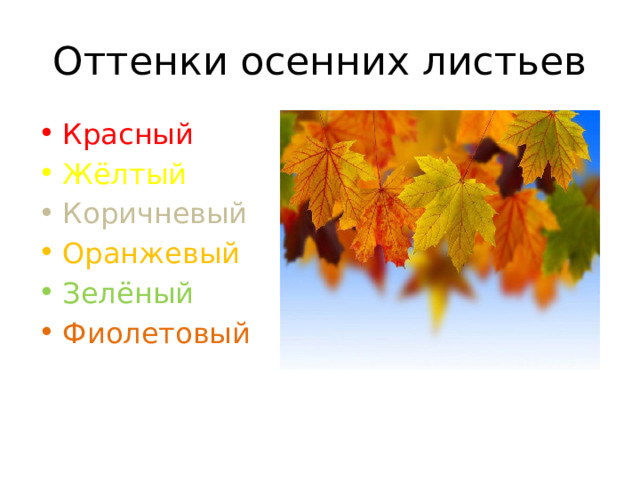 Оттенки осенних листьев Красный Жёлтый Коричневый Оранжевый Зелёный Фиолетовый 