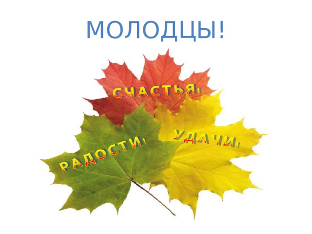Молодцы! 