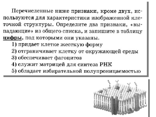 Рох 2 Ответ: 14 