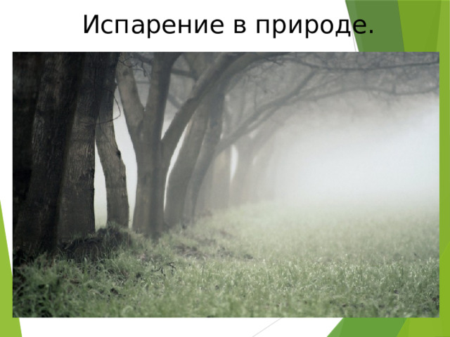 Испарение в природе. 