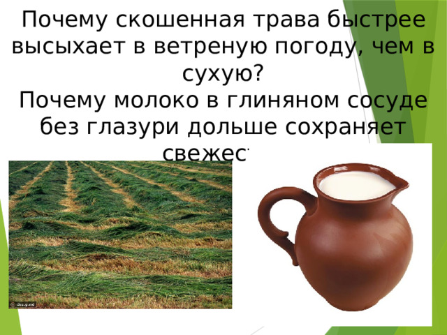 Почему скошенная трава быстрее высыхает в ветреную погоду, чем в сухую? Почему молоко в глиняном сосуде без глазури дольше сохраняет свежесть? 