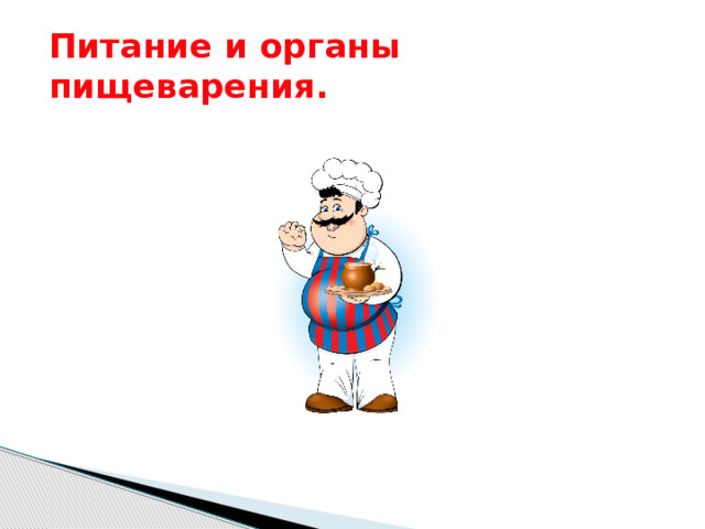 Питание и органы пищеварения. 